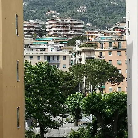 Viola Appartement *